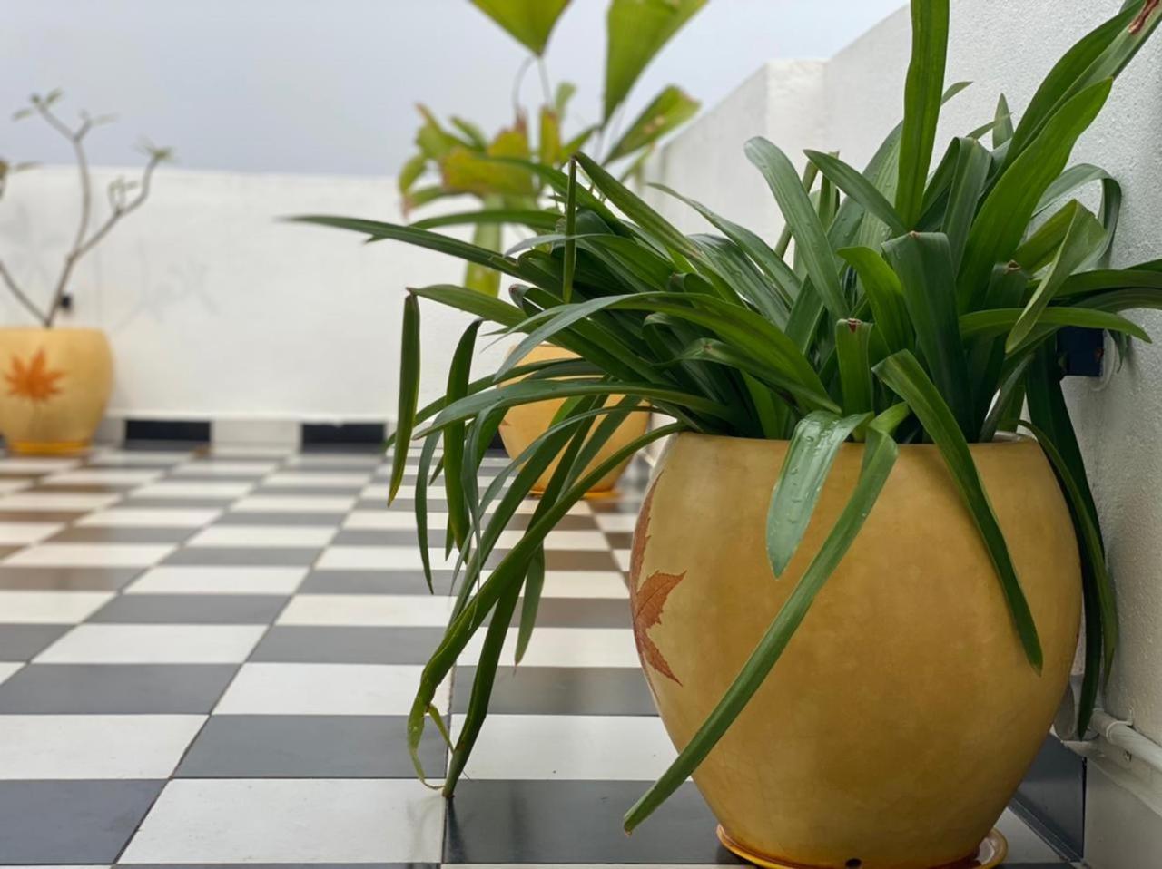 Le Poshe Luxury - Tie & Apartment